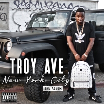 troy_ave_new_york